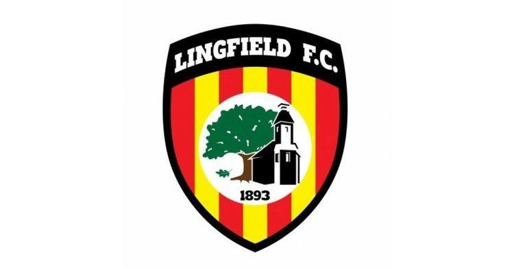 Lingfield F.C. Under 18s Lingfield Football Club Ltd