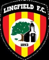 Lingfield F.C. httpsuploadwikimediaorgwikipediaenthumb5