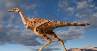 Linhenykus Discovery the First SingleFingered Dinosaur
