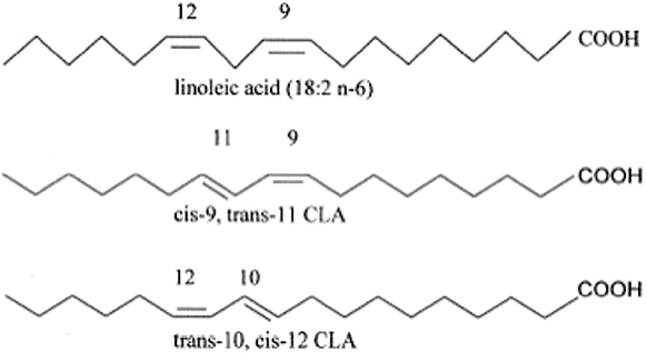Linoleic acid Feed Additives for Swine Conjugated Linoleic Acid CLA Pork