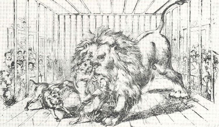Lion-baiting