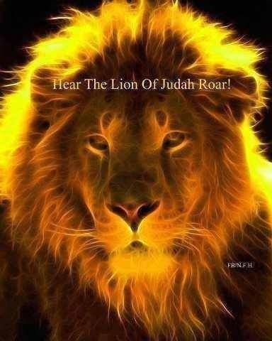 Lion of Judah 1000 ideas about Lion Of Judah on Pinterest Lion and lamb Jesus