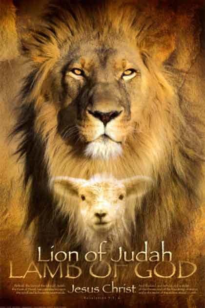 Lion of Judah httpswwwrastaseedcomwpcontentuploads2008