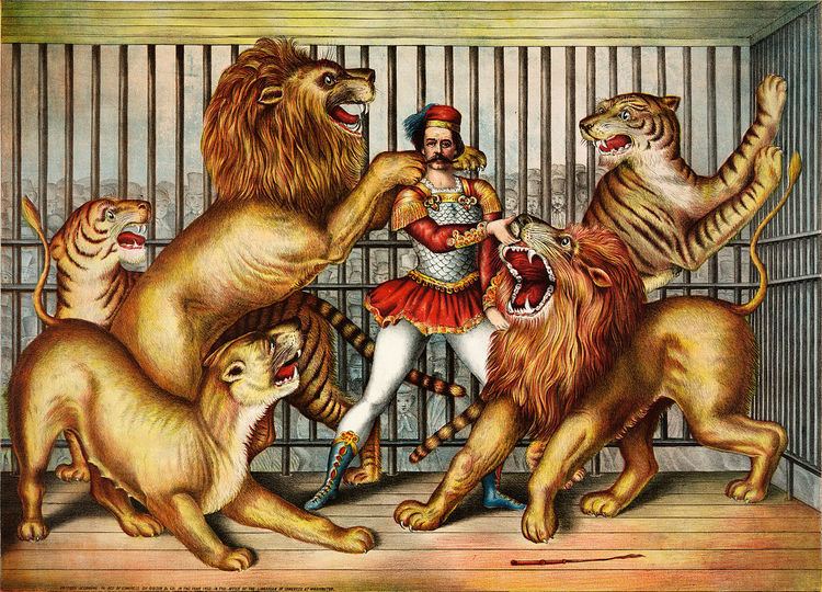 Lion taming