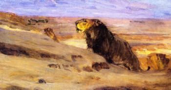 Lions in the Desert