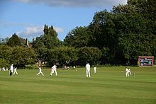 Liphook and Ripsley Cricket Club httpsuploadwikimediaorgwikipediacommonsthu