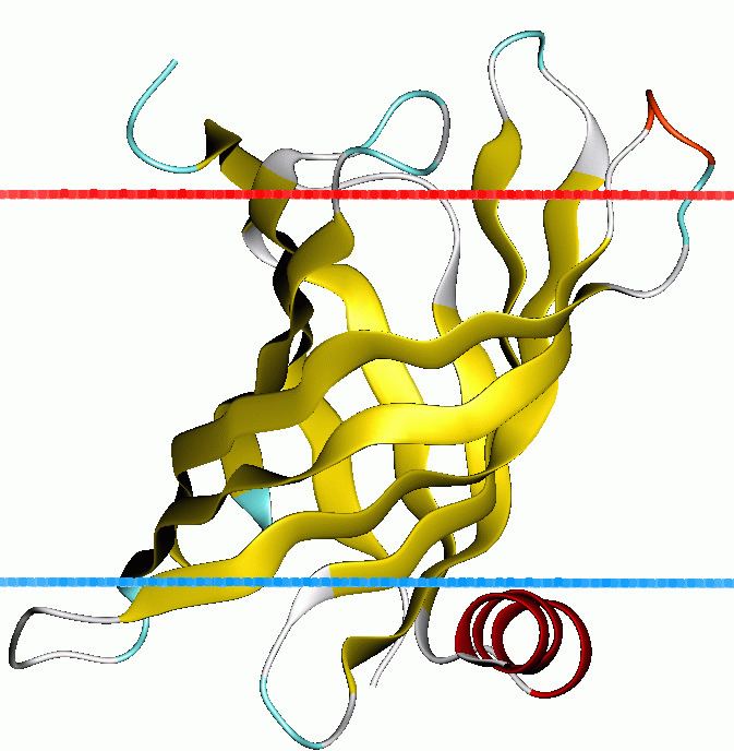 Lipid A acylase