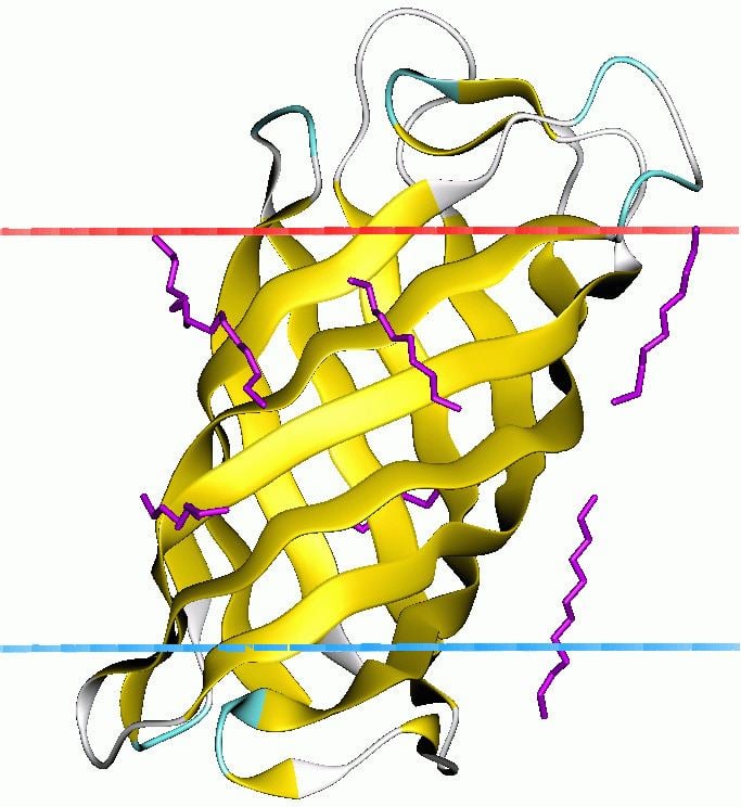 Lipid A deacylase