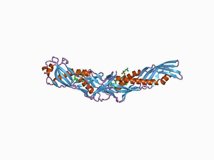 Lipid-binding serum glycoprotein