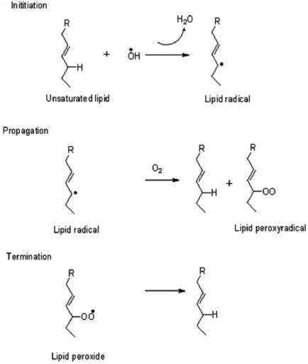 Lipid peroxidation Mechanism of lipid peroxidation in unsaturated fatty acid