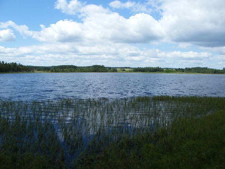 Lipno (lake)