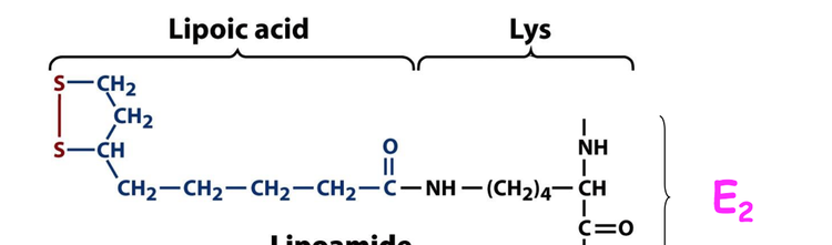 Lipoamide Alchetron The Free Social Encyclopedia Lipoamide Alchetron The Free Social Encyclopedia