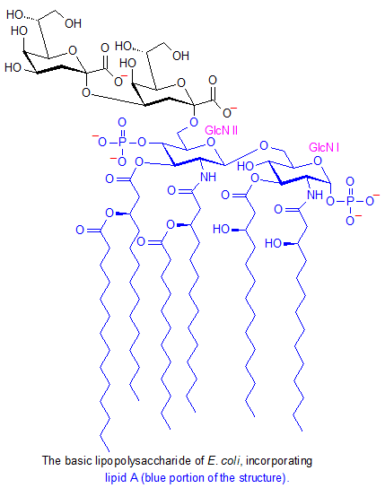 Lipopolysaccharide Lipid A and Bacterial Lipopolysaccharides AOCS Lipid Library