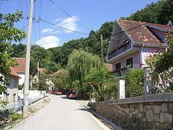 Lipovac (Aleksinac) httpsuploadwikimediaorgwikipediacommonsthu