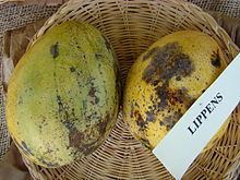 Lippens (mango) httpsuploadwikimediaorgwikipediacommonsthu