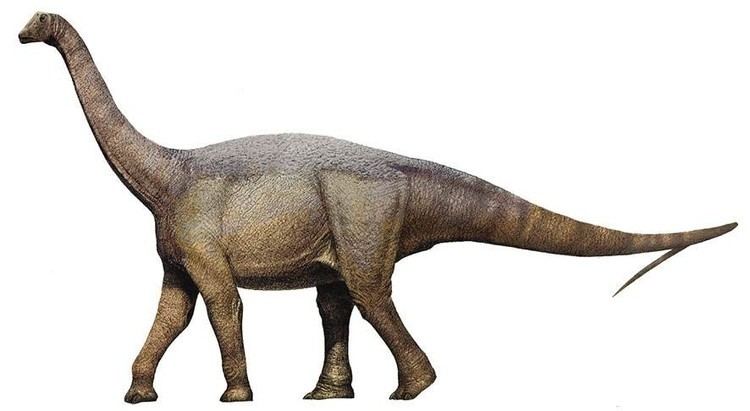 Lirainosaurus imagesdinosaurpicturesorgLirainosaurus315ajpg