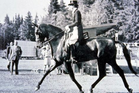 Lis Hartel Lis Hartel Danish Equestrian Legend Dies Simply Marvelous Horse