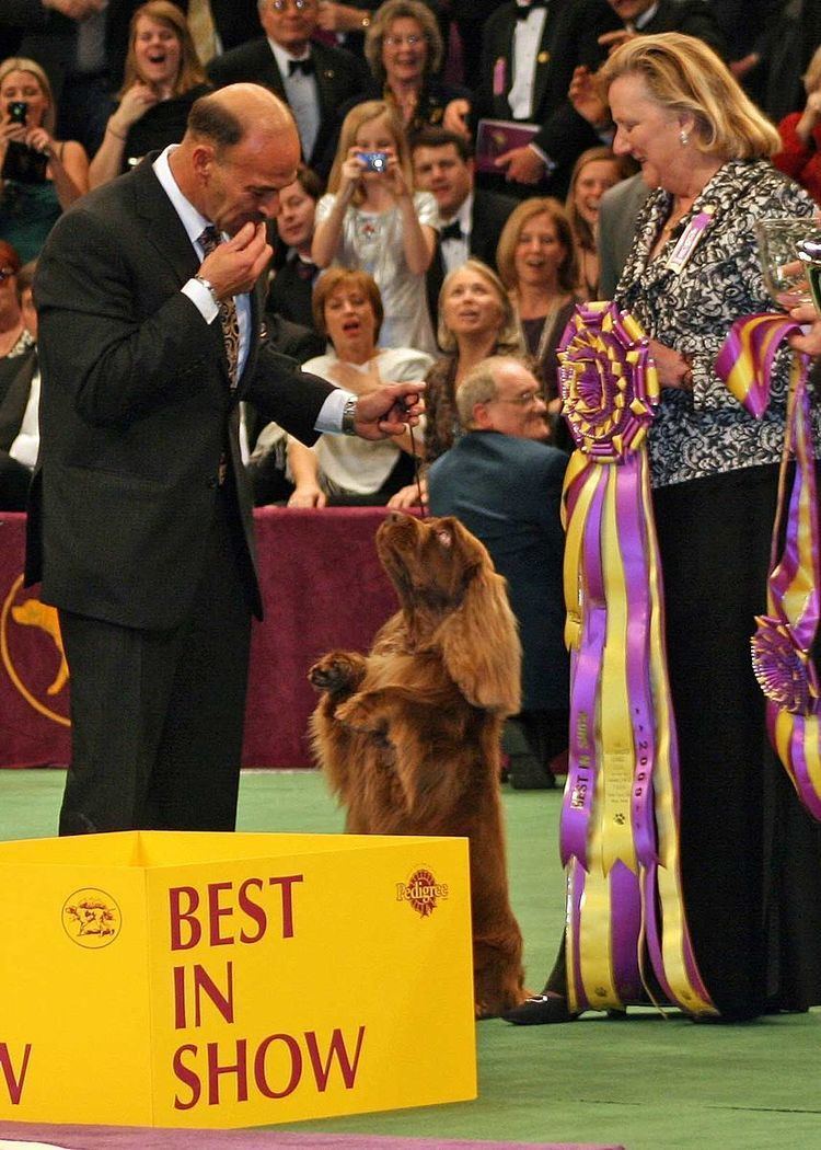 List of Best in Show winners of the Westminster Kennel Club Dog Show
