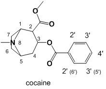 List of cocaine analogues