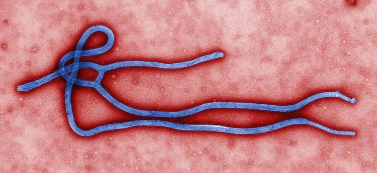 List of Ebola outbreaks