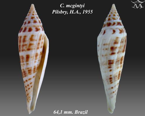 List of gastropods described in 2015