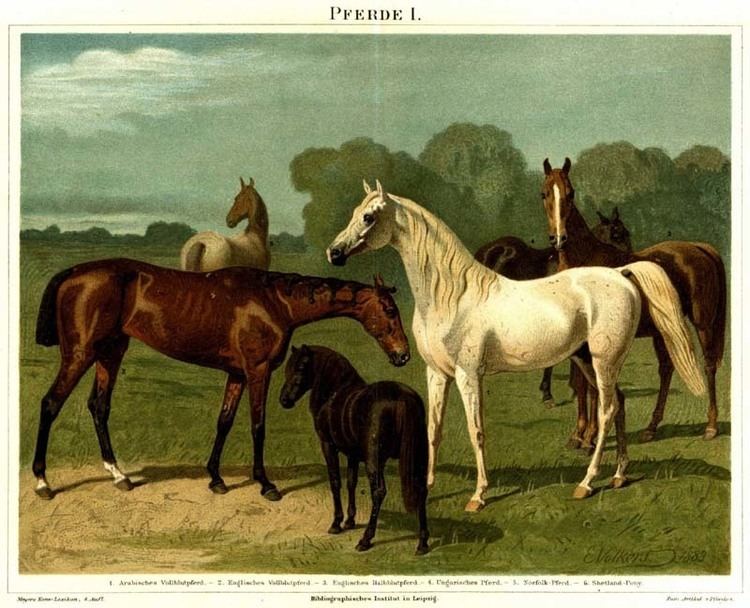 List of horse breeds