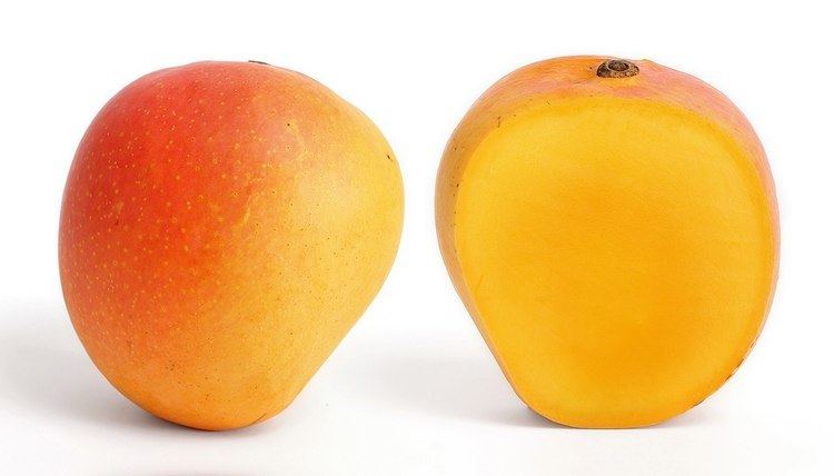 List of mango cultivars