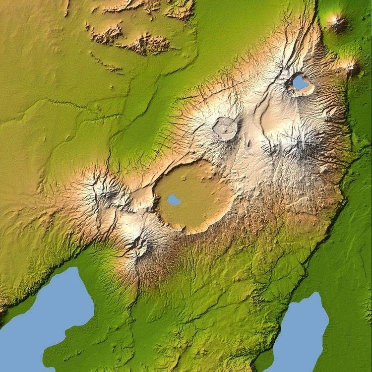 List of Ngorongoro Crater plants