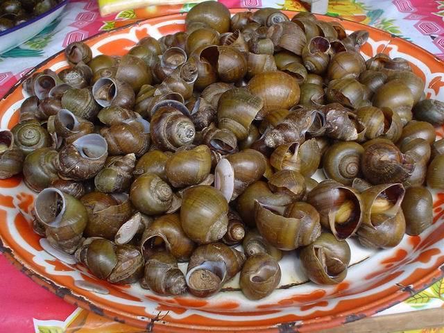 List of non-marine molluscs of Cambodia