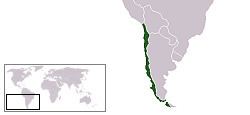 List of non-marine molluscs of Chile