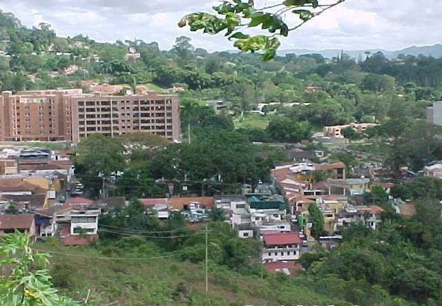 List of non-marine molluscs of El Hatillo Municipality, Miranda, Venezuela