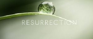 List of Resurrection (U.S. TV series) episodes Resurrection US TV series Wikipedia