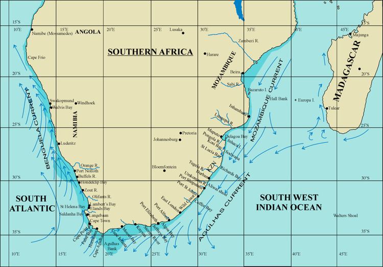 List of seaweeds of South Africa