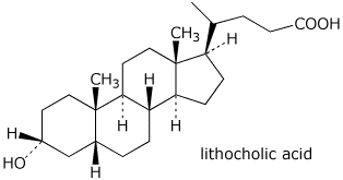 Lithocholic acid Exam 3 Answer Key