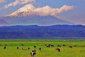 Little Ararat httpsuploadwikimediaorgwikipediacommonsthu