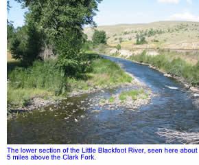 Little Blackfoot River wwwbigskyfishingcomRiverFishingSWMTRiversl