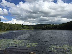 Little Bowman Pond httpsuploadwikimediaorgwikipediacommonsthu