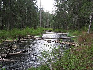 Little Butte Creek httpsuploadwikimediaorgwikipediacommonsthu
