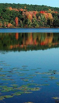 Little Cedar Lake httpsuploadwikimediaorgwikipediacommonsthu