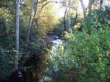 Little Chico Creek httpsuploadwikimediaorgwikipediacommonsthu