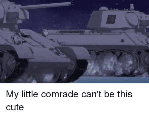 Little Comrade My Little Comrade Cant Be This Cute Cute Meme on SIZZLE