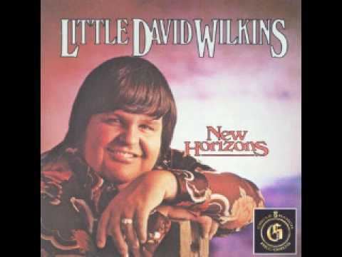 Little David Wilkins LITTLE DAVID WILKINS LOVE IN THE BACK SEAT YouTube