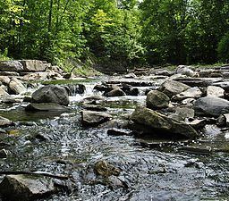 Little Etobicoke Creek httpsuploadwikimediaorgwikipediacommonsthu