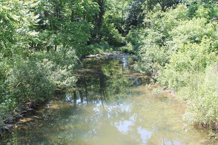 Little Green Creek