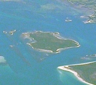 Little Green Island httpsuploadwikimediaorgwikipediacommons77