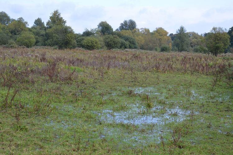 Little Hallingbury Marsh