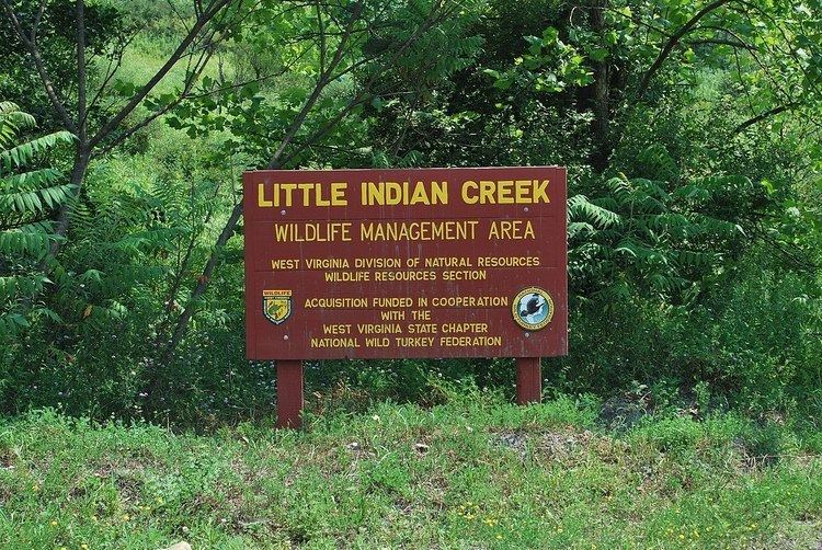 Little Indian Creek Wildlife Management Area