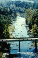 Little Missouri River (Arkansas) httpsuploadwikimediaorgwikipediacommons22