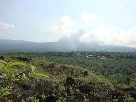 Little Mount Cameroon httpsuploadwikimediaorgwikipediacommonsthu