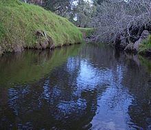 Little Para River httpsuploadwikimediaorgwikipediacommonsthu